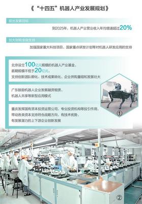 政策引領(lǐng)，服務(wù)賦能 重慶信息技術(shù)咨詢助力機(jī)器人產(chǎn)業(yè)蓬勃發(fā)展